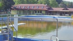 Koupaliště