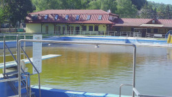 Koupaliště