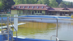 Koupaliště