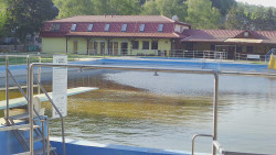 Koupaliště