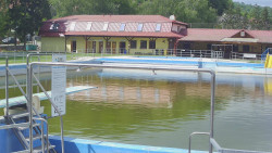 Koupaliště