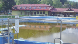 Koupaliště
