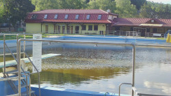 Koupaliště