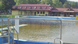 Koupaliště
