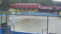 Koupaliště