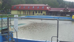 Koupaliště