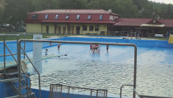 Koupaliště
