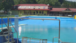 Koupaliště