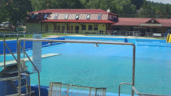 Koupaliště