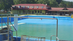 Koupaliště