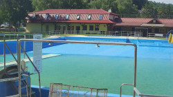 Koupaliště