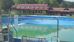 Koupaliště