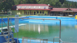 Koupaliště
