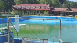 Koupaliště