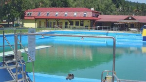 TJ Němčičky - Koupaliště - 26.5.2026 v 12:30 TJ Němčičky - Koupaliště - 26.5.2026 v 12:30