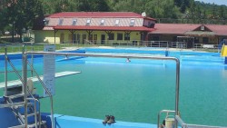 Koupaliště