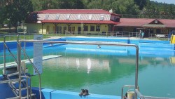 Koupaliště