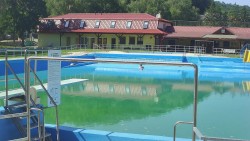 Koupaliště