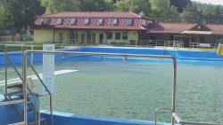 Koupaliště