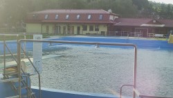 Koupaliště