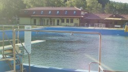 Koupaliště