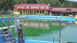 Koupaliště