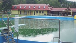 Koupaliště