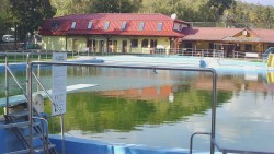 Koupaliště