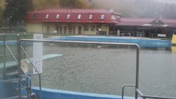 Koupaliště