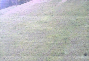 Skiareál Mezivodí - Ski Mezivodí  - 5.11.2023 v 13:02 Skiareál Mezivodí - Ski Mezivodí  - 5.11.2023 v 13:02