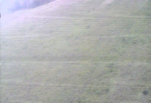 Skiareál Mezivodí - Ski Mezivodí  - 5.11.2023 v 14:02 Skiareál Mezivodí - Ski Mezivodí  - 5.11.2023 v 14:02