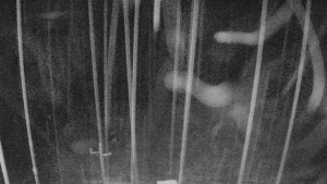 Skiareál Mezivodí - Ski Mezivodí  - 20.11.2023 v 04:00 Skiareál Mezivodí - Ski Mezivodí  - 20.11.2023 v 04:00