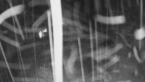 Skiareál Mezivodí - Ski Mezivodí  - 20.11.2023 v 19:00 Skiareál Mezivodí - Ski Mezivodí  - 20.11.2023 v 19:00