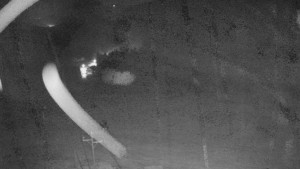 Skiareál Mezivodí - Ski Mezivodí  - 20.11.2023 v 20:00 Skiareál Mezivodí - Ski Mezivodí  - 20.11.2023 v 20:00