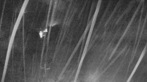 Skiareál Mezivodí - Ski Mezivodí  - 20.11.2023 v 21:00 Skiareál Mezivodí - Ski Mezivodí  - 20.11.2023 v 21:00