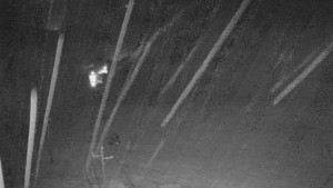 Skiareál Mezivodí - Ski Mezivodí  - 20.11.2023 v 22:01 Skiareál Mezivodí - Ski Mezivodí  - 20.11.2023 v 22:01