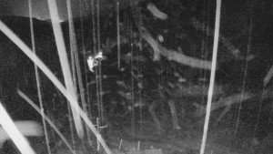 Skiareál Mezivodí - Ski Mezivodí - 7.2.2024 v 20:00 Skiareál Mezivodí - Ski Mezivodí - 7.2.2024 v 20:00