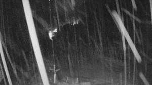 Skiareál Mezivodí - Ski Mezivodí - 7.2.2024 v 21:00 Skiareál Mezivodí - Ski Mezivodí - 7.2.2024 v 21:00