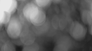 Skiareál Mezivodí - Ski Mezivodí  - 8.2.2024 v 04:00 Skiareál Mezivodí - Ski Mezivodí  - 8.2.2024 v 04:00