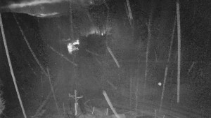 Skiareál Mezivodí - Ski Mezivodí  - 8.2.2024 v 19:00 Skiareál Mezivodí - Ski Mezivodí  - 8.2.2024 v 19:00