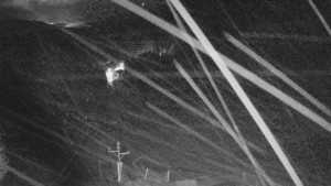 Skiareál Mezivodí - Ski Mezivodí  - 8.2.2024 v 20:00 Skiareál Mezivodí - Ski Mezivodí  - 8.2.2024 v 20:00