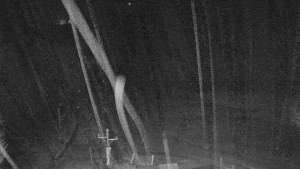 Skiareál Mezivodí - Ski Mezivodí  - 9.2.2024 v 02:00 Skiareál Mezivodí - Ski Mezivodí  - 9.2.2024 v 02:00