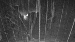 Skiareál Mezivodí - Ski Mezivodí  - 9.2.2024 v 05:00 Skiareál Mezivodí - Ski Mezivodí  - 9.2.2024 v 05:00