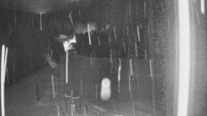 Skiareál Mezivodí - Ski Mezivodí - 11.1.2025 v 05:00 Skiareál Mezivodí - Ski Mezivodí - 11.1.2025 v 05:00