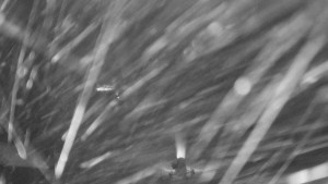 Skiareál Mezivodí - Ski Mezivodí - 5.2.2025 v 02:00 Skiareál Mezivodí - Ski Mezivodí - 5.2.2025 v 02:00