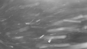 Skiareál Mezivodí - Ski Mezivodí - 5.2.2025 v 04:00 Skiareál Mezivodí - Ski Mezivodí - 5.2.2025 v 04:00