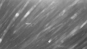 Skiareál Mezivodí - Ski Mezivodí - 5.2.2025 v 06:00 Skiareál Mezivodí - Ski Mezivodí - 5.2.2025 v 06:00