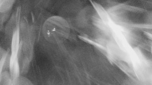 Skiareál Mezivodí - Ski Mezivodí - 5.2.2025 v 23:00 Skiareál Mezivodí - Ski Mezivodí - 5.2.2025 v 23:00