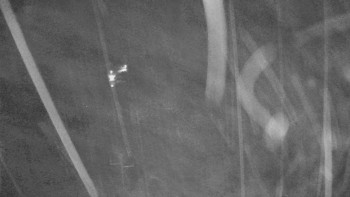 Snímek    27.10.2025 v 21:30
