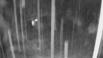 Snímek    27.10.2025 v 22:35